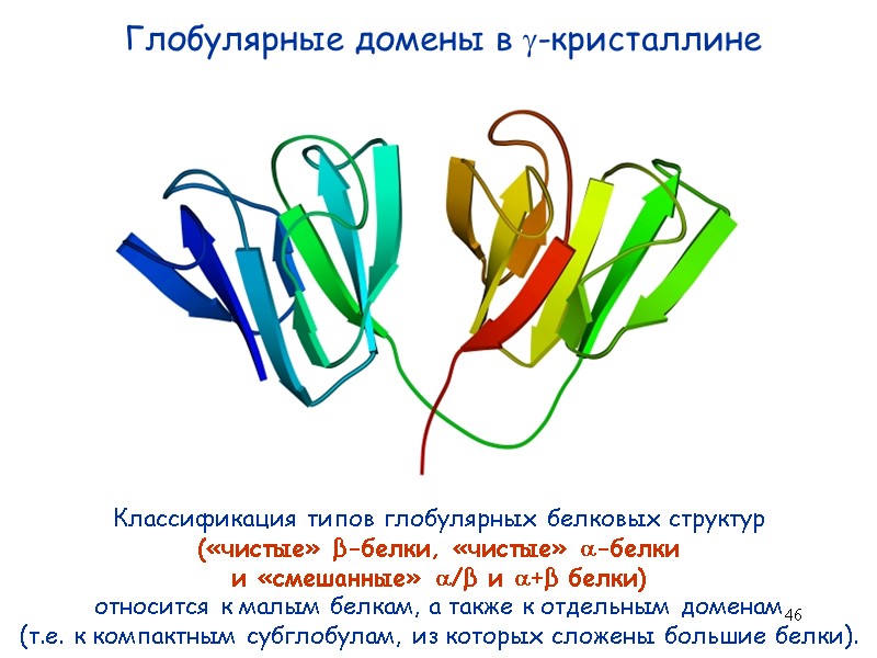 46 Глобулярные домены в -кристаллине Классификация типов глобулярных белковых структур  («чистые» β-белки, «чистые»